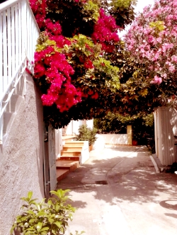 Patmos studios/apartments: Patmos island studios accommodation