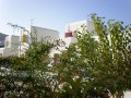 Astypalaia Studios to rent