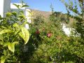 Astypalaia Studios to rent