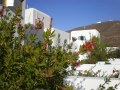 Astypalaia Studios to rent