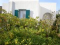 Astypalaia Studios to rent